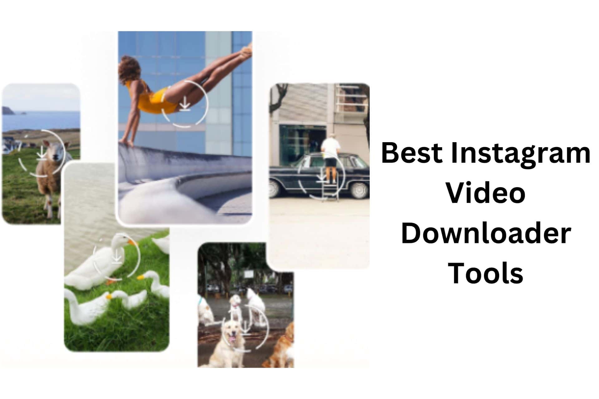 instagram-video-downloader-tools