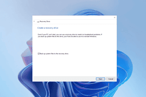 How to Download Windows 11 Recovery USB for Another PC
