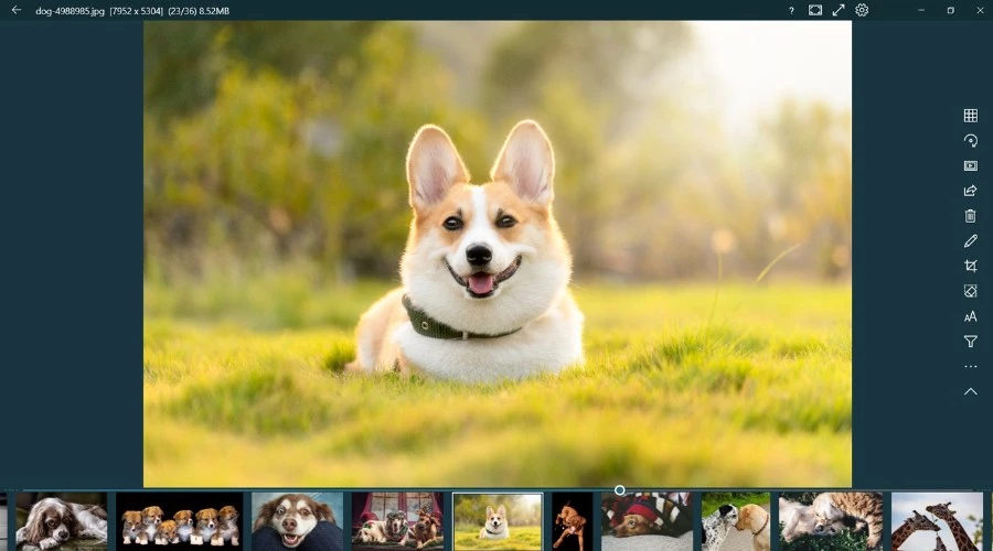 123 Windows 11 Photo Viewer