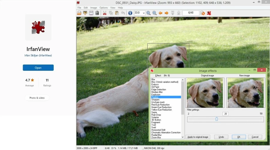 IrfanView Windows 11 photo viewer alternative