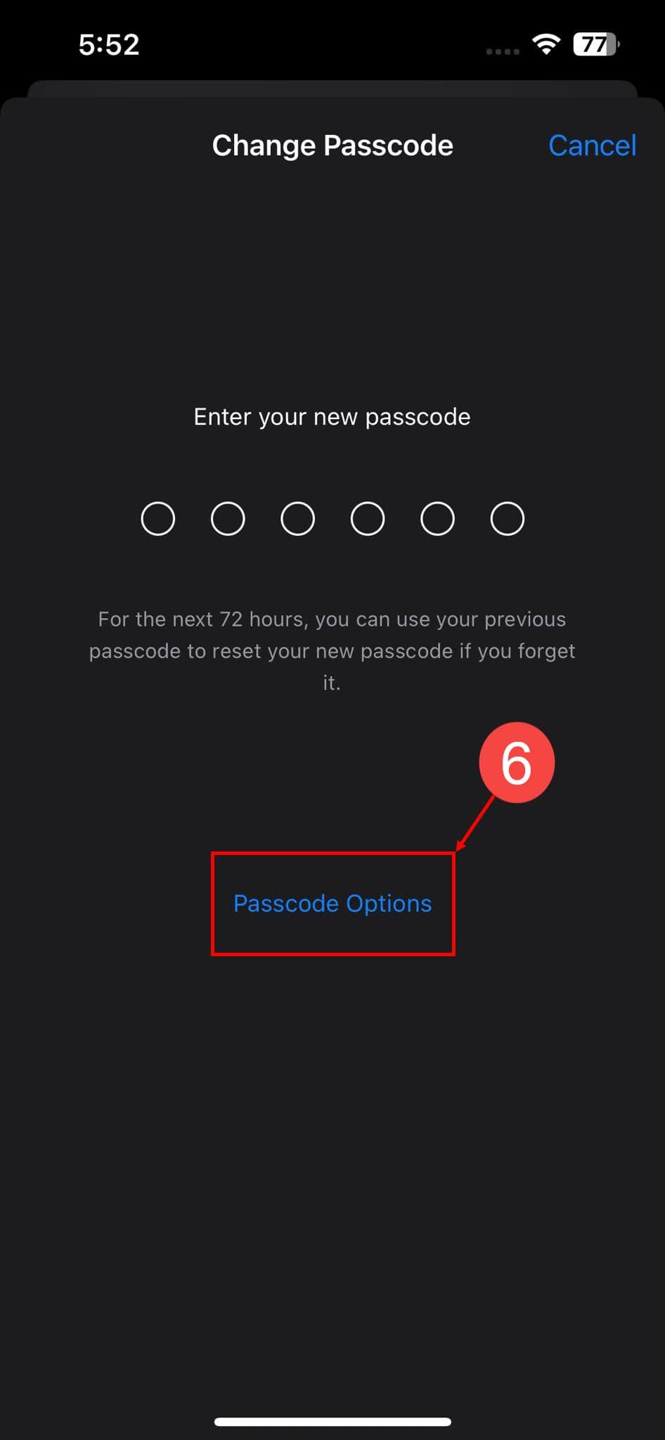 passcode options