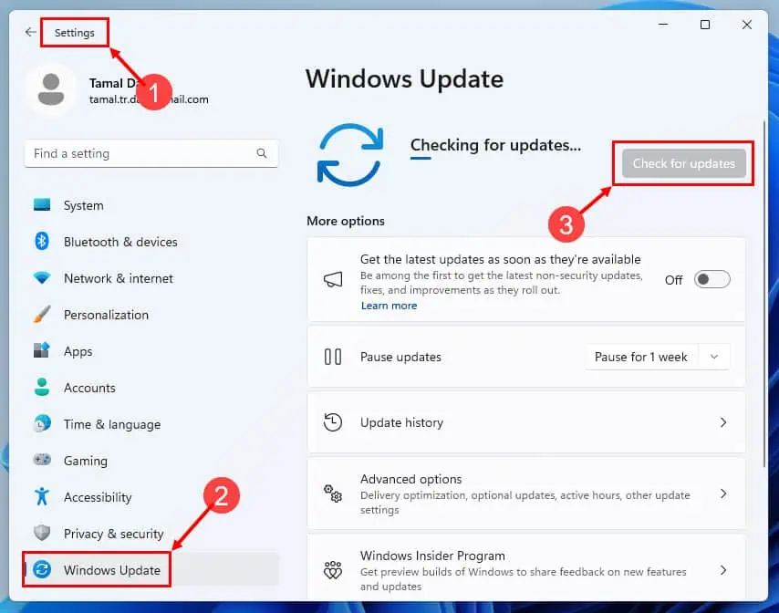 Windows Update sucht nach Updates