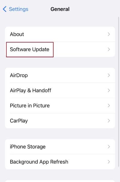software update in general settings