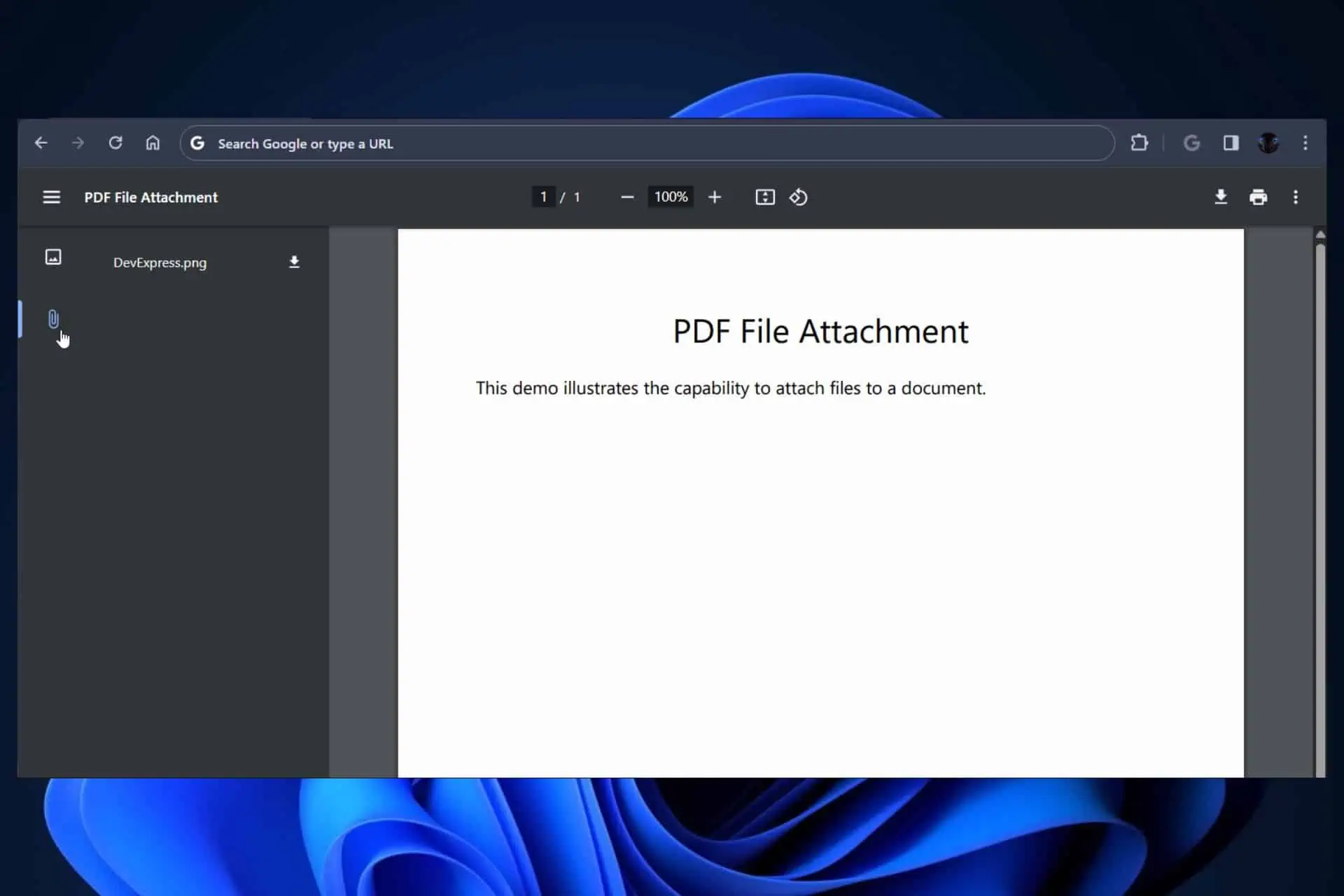 พอร์ตโฟลิโอ PDF บน Chrome PDF