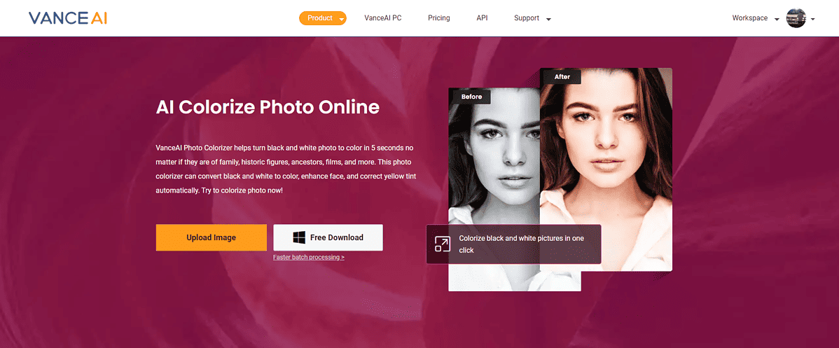 VanceAI AI Colorize Photo Interface