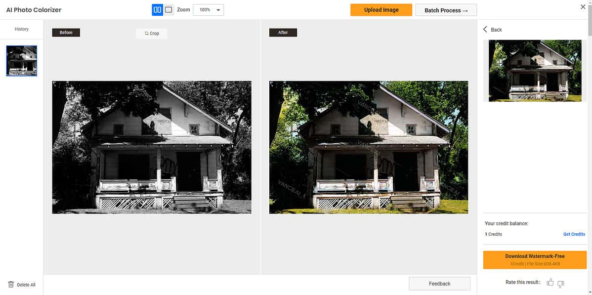 VanceAI Colorize Rezultate fotografii