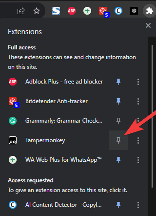 Pin the extension in Chrome
