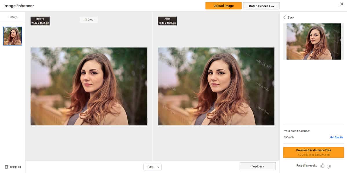 Vance AI Image Enhancement results