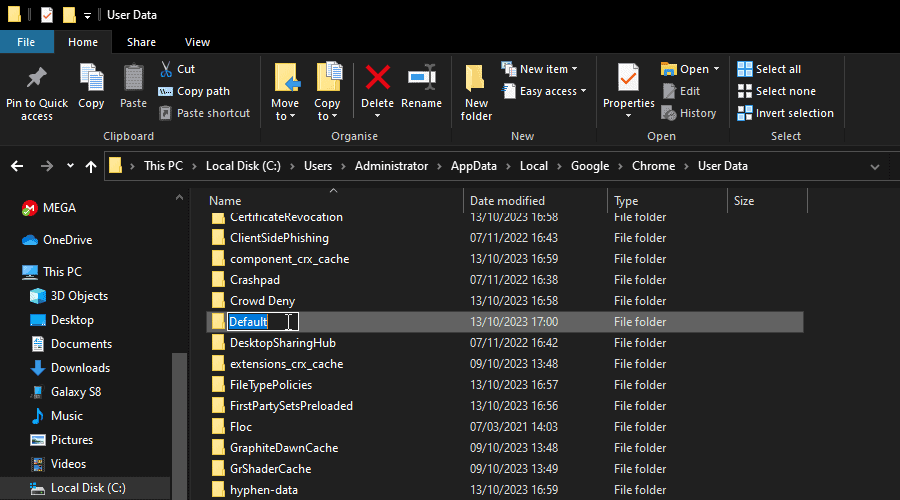 rename default folder in user data for chrome