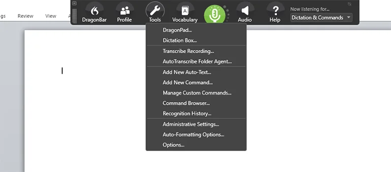 dragon naturallyspeaking user interface