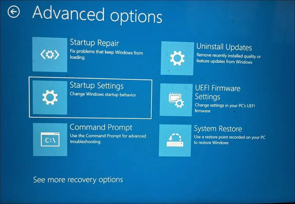 Startup Settings under Advanced options