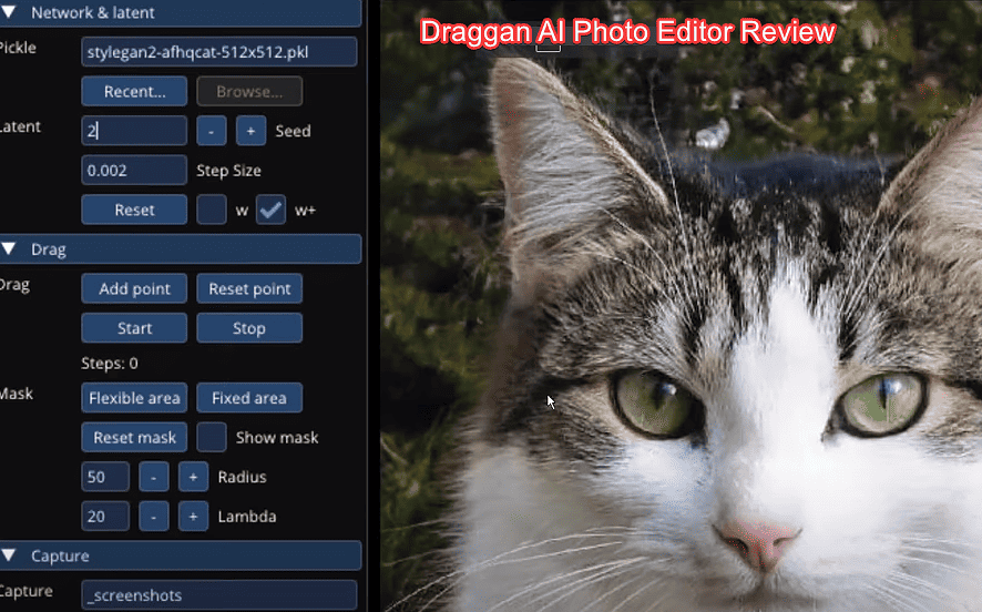 Draggan ai photo editor review