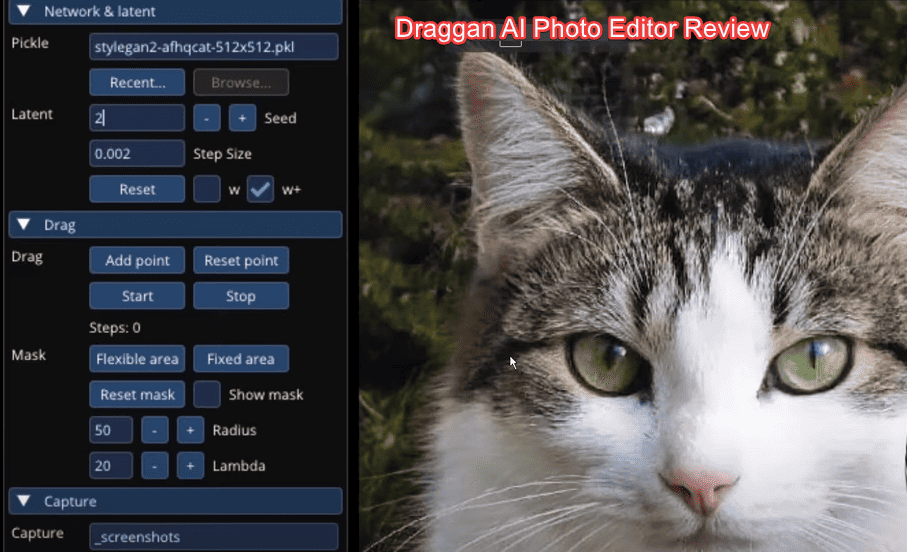 DragGAN AI Photo Editor Review – Is It Worth Your Time?