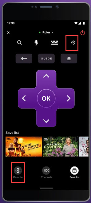 Roku mobile app as remote
