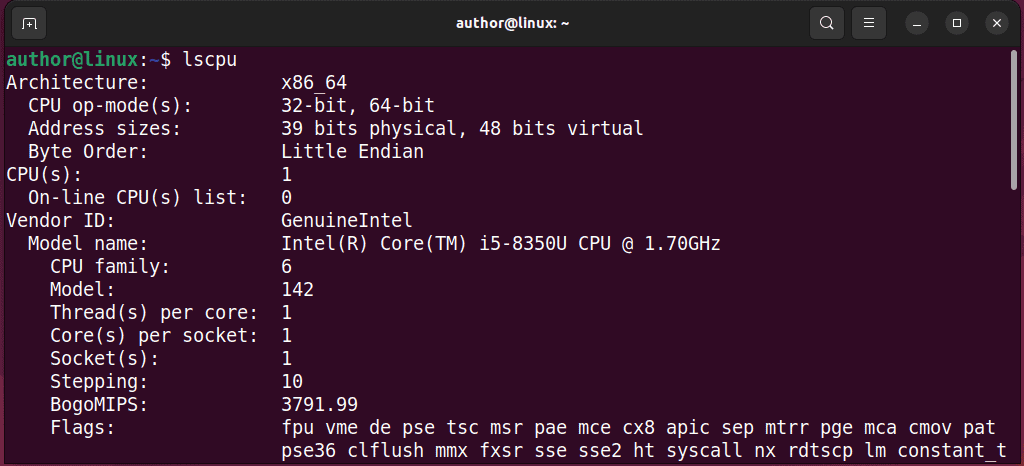 checking system architecture on Linux