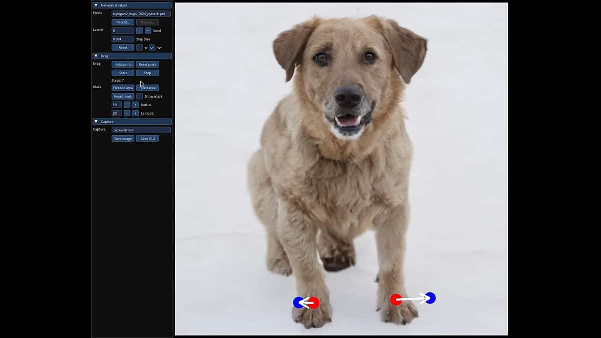 Editing the dog's legs