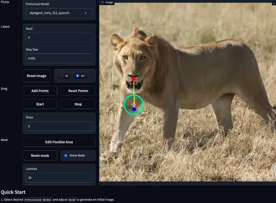 editing the lion with points
