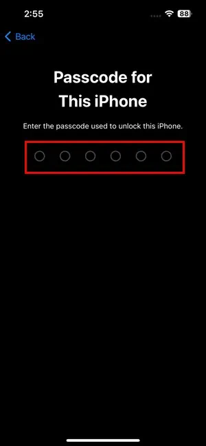 iPhone Passcode or PIN
