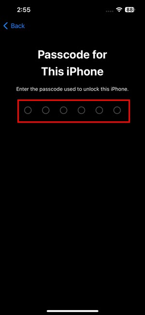 iPhone Passcode or PIN