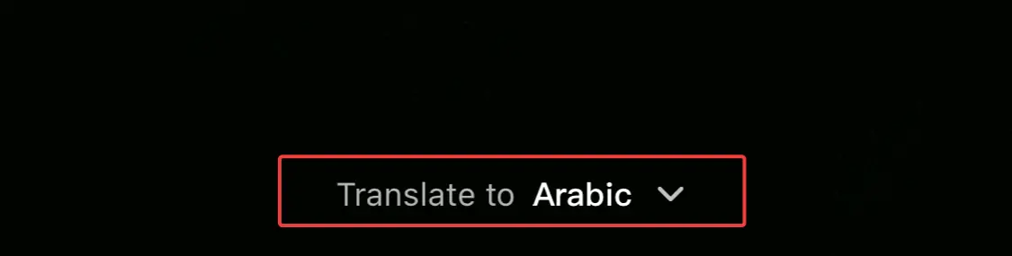 translate to arabic