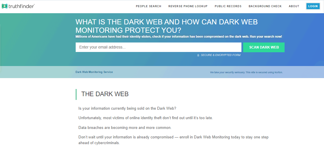 Dark web search