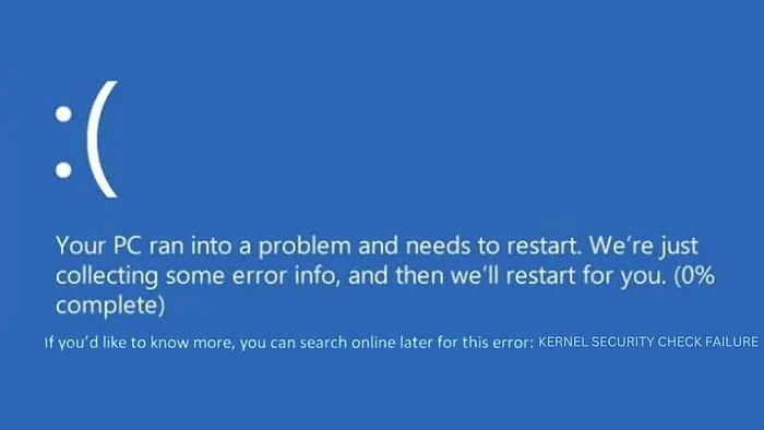 Kernel Security Check Failure