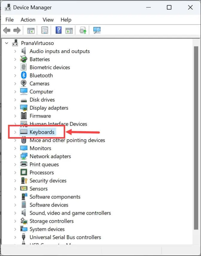 Keyboards section Device Manager