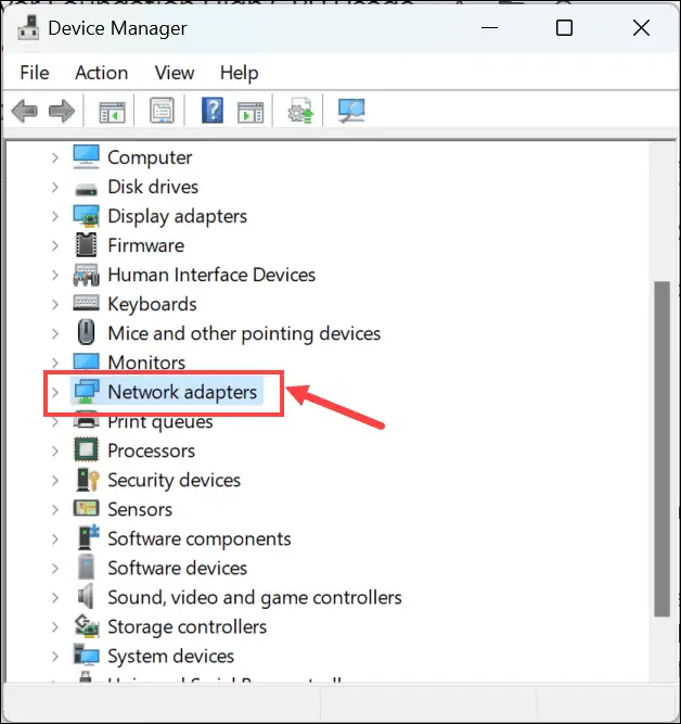 Network Adapters section Device Manager