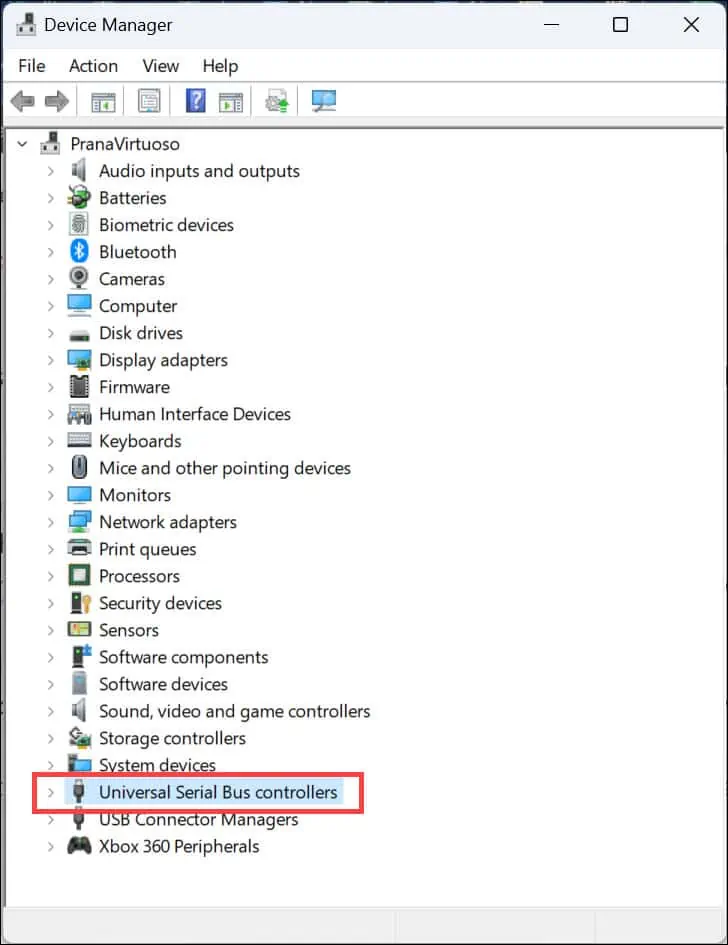 USB controllers section Device Manager