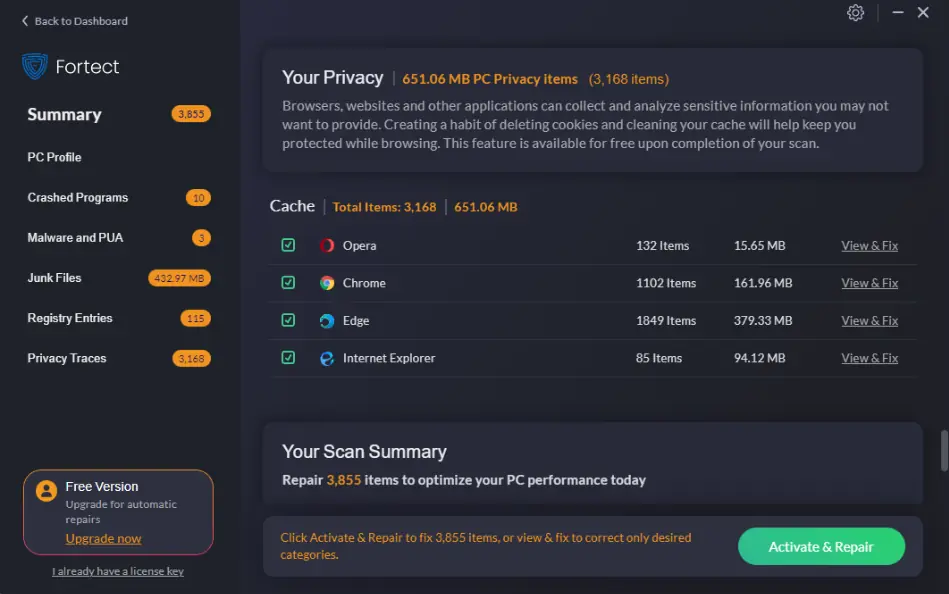 Fortect privacy scan