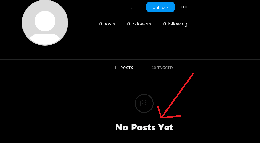 A blank page with No Posts Yet could mean you're blocked.
