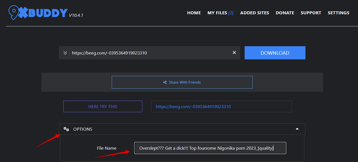 9xbuddy options