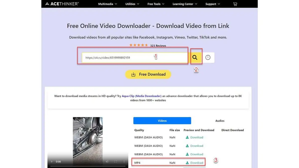Odnoklassniki Downloader Acethinker Download