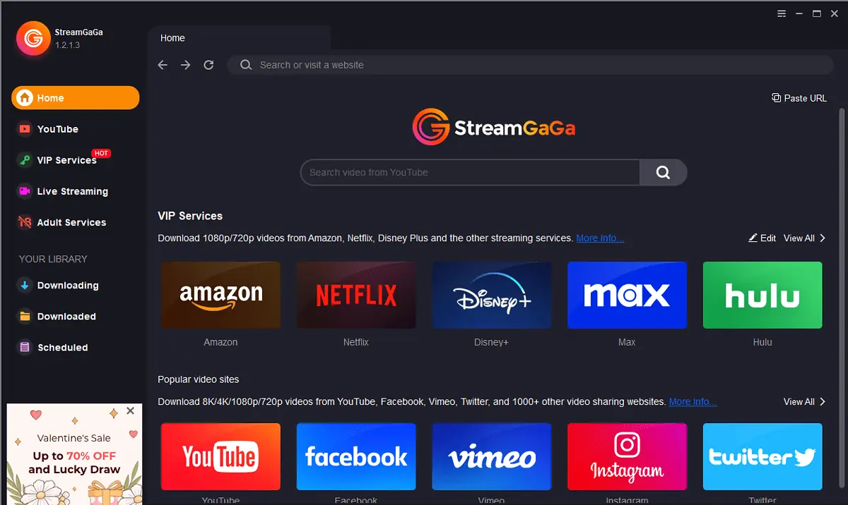 StreamGaGa Video Downloader interface