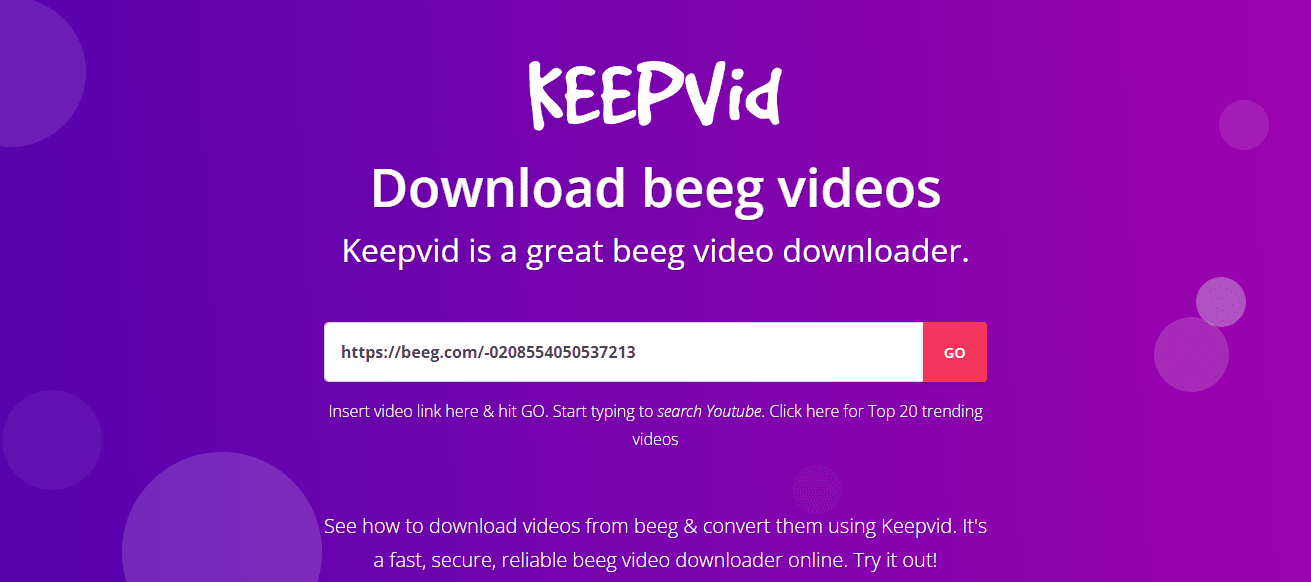 beeg video downloader