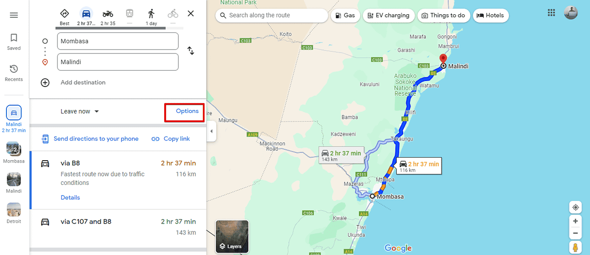 Google Maps options