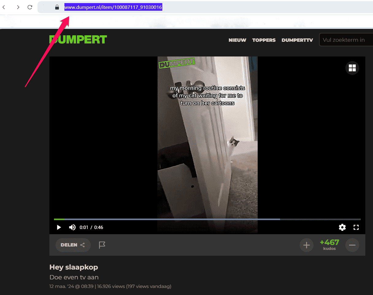 Copying the URL of a Dumpert video