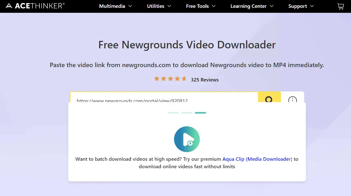 AceThinker Free Online Newgrounds Downloader analyzing