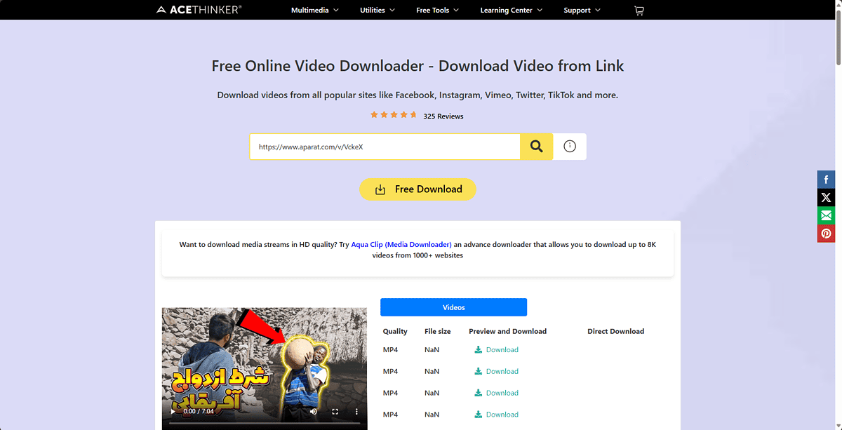 AceThinker Online Video Downloader download options