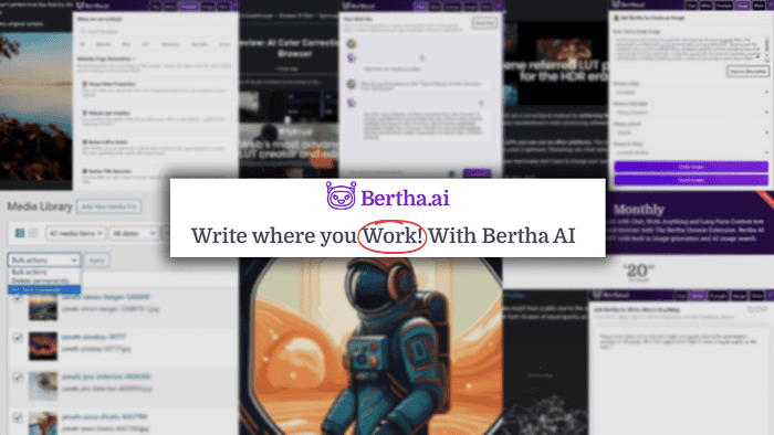 Bertha ai review