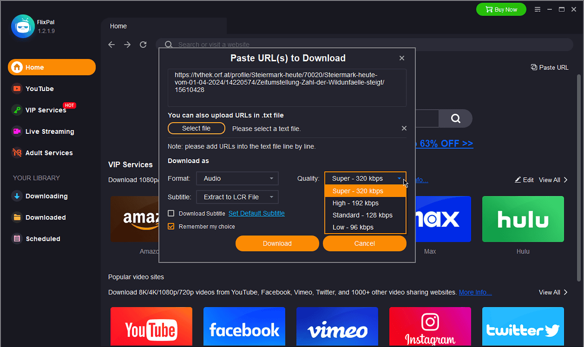 FlixPal Downloader options