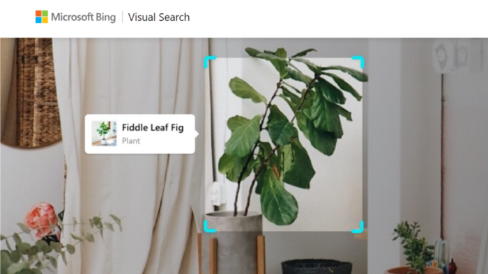 Reverse Image On Bing Visual Search May Be Getting Smarter Latest 