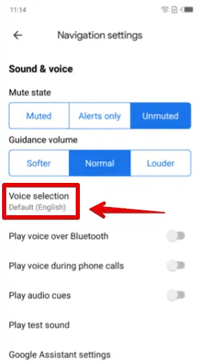 Voice selection