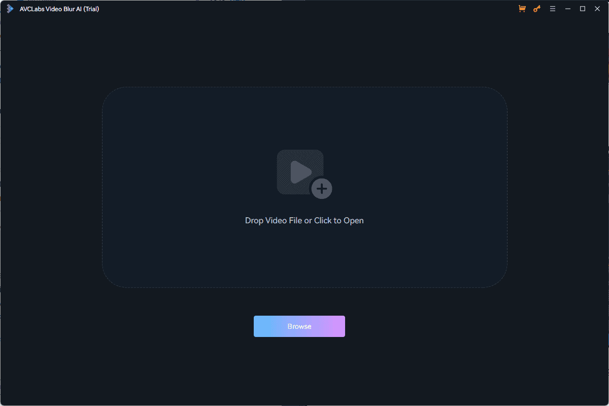 Video Blur AI interface