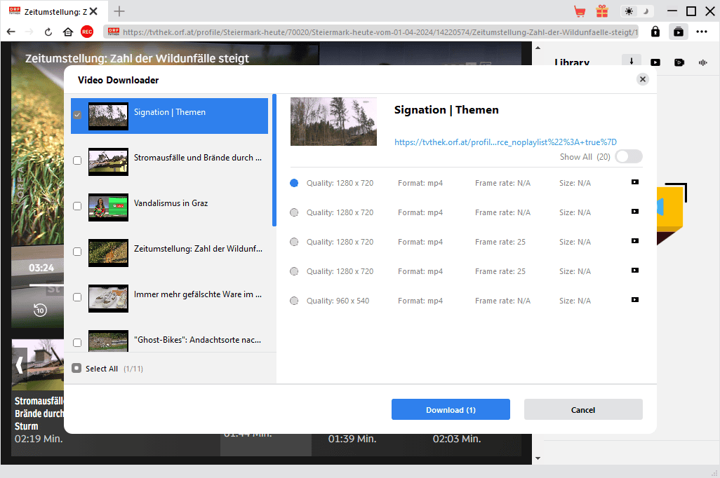 CleverGet Video Downloader download options