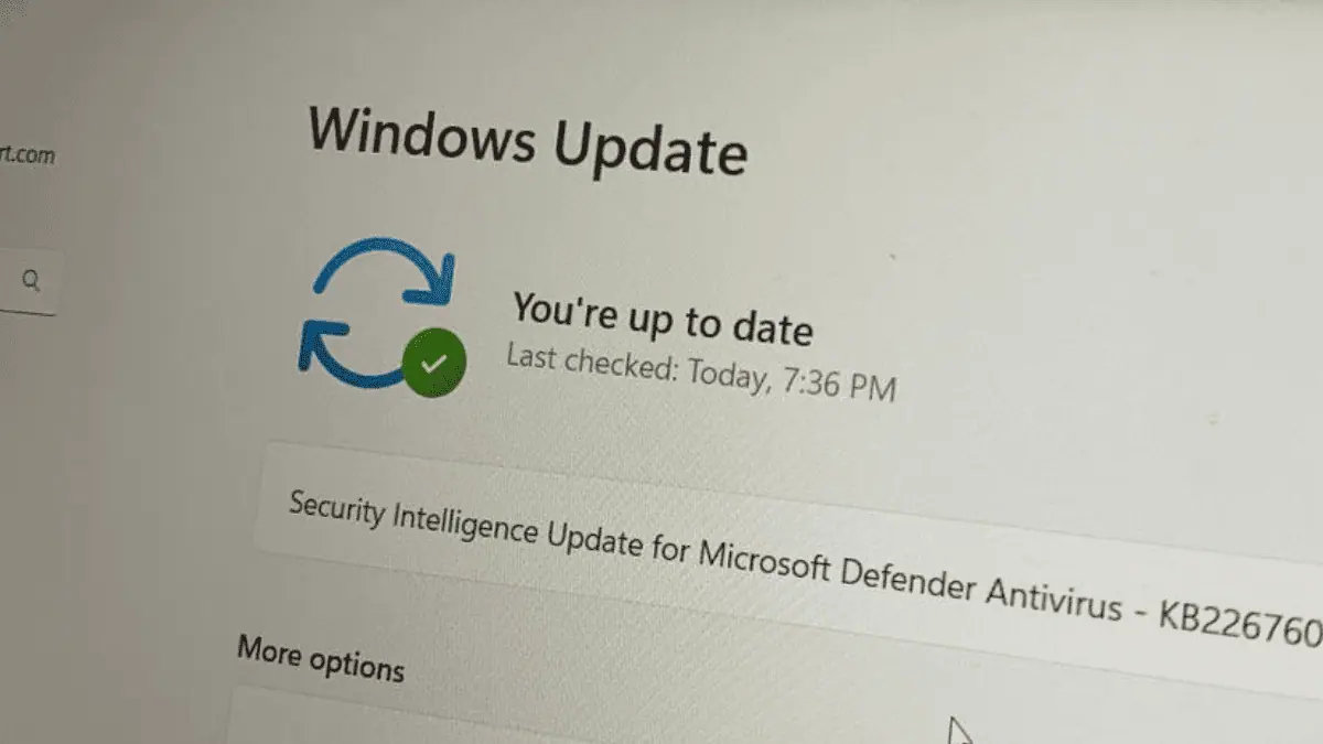Windows 11'i en son ne zaman güncellediniz? Ayarlar ana sayfasında güncelleme tarihleri ​​yakında görüntülenecek