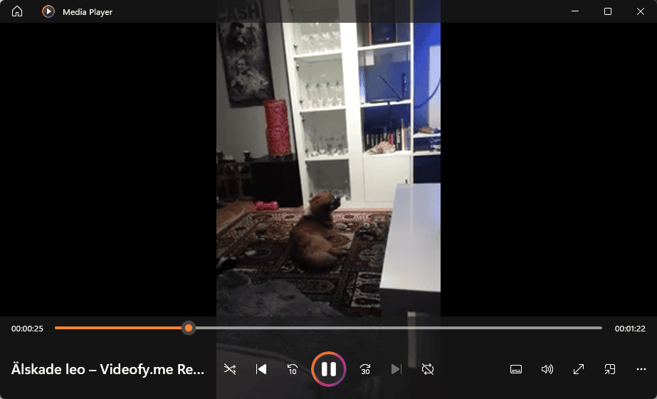 4K Video Downloader playing video