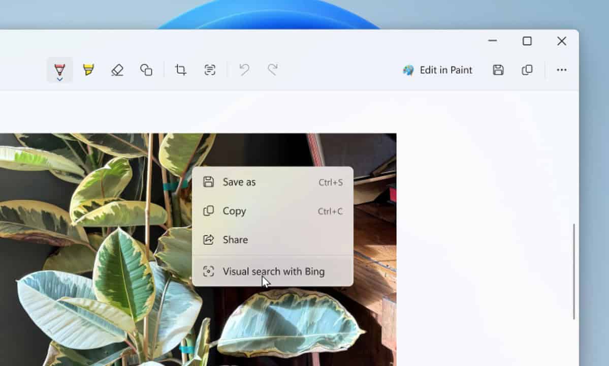 Windows 11s Snipping Tool To Get Bing Visual Search Integration ...