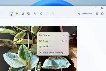 Windows 11 Snipping Tool Visual Search