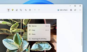 Windows 11 Snipping Tool Visual Search